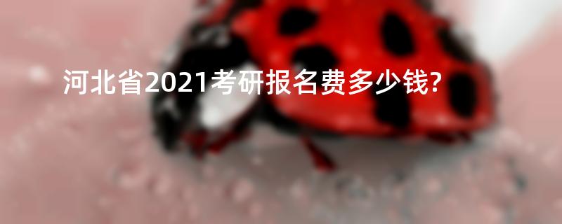 河北省2021考研报名费多少钱?