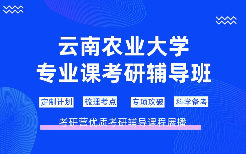 云南农业大学专业课考研辅导班