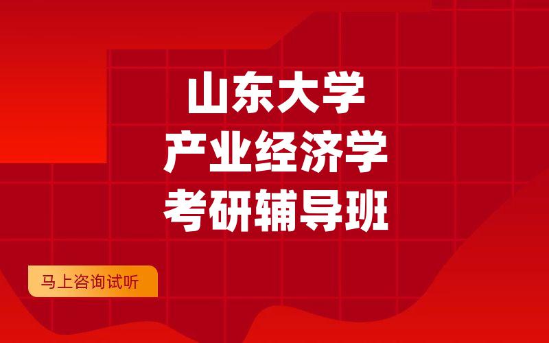 山东大学产业经济学考研辅导班