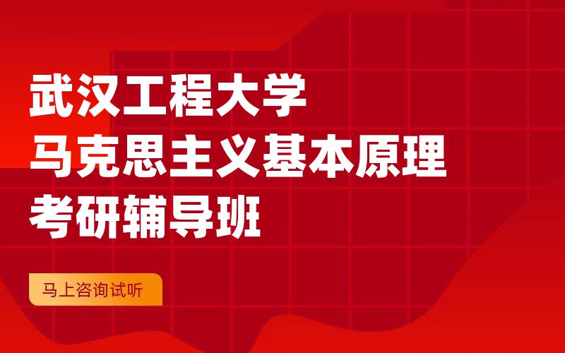 武汉工程大学马克思主义基本原理考研辅导班