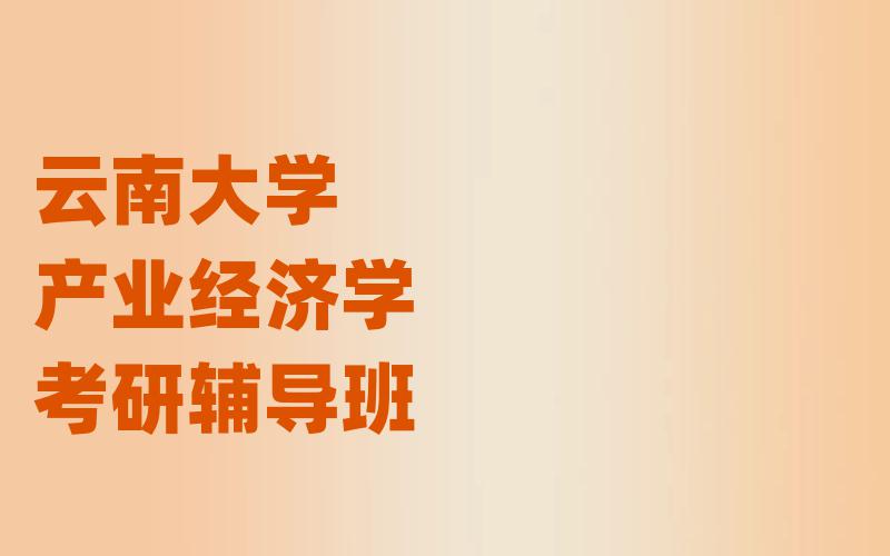 云南大学产业经济学考研辅导班