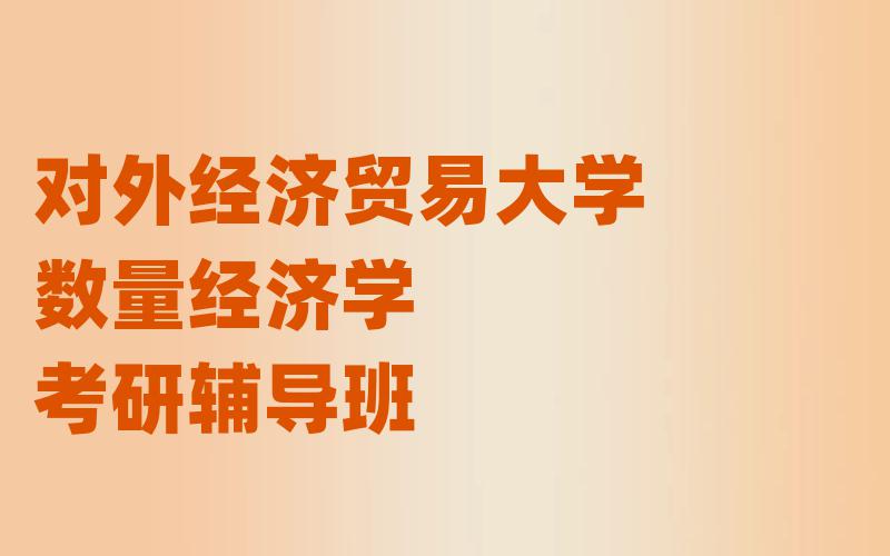 对外经济贸易大学数量经济学考研辅导班