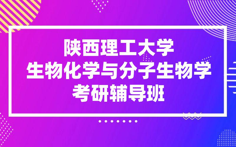 上海外国语大学日语口译考研辅导班