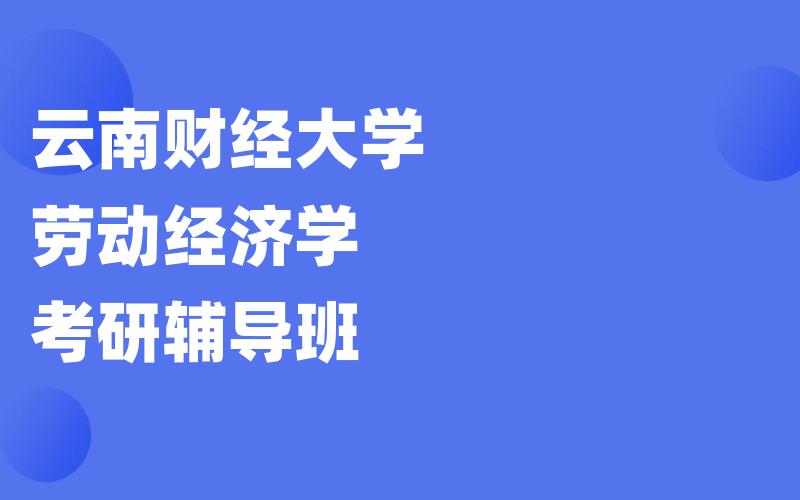 云南财经大学劳动经济学考研辅导班