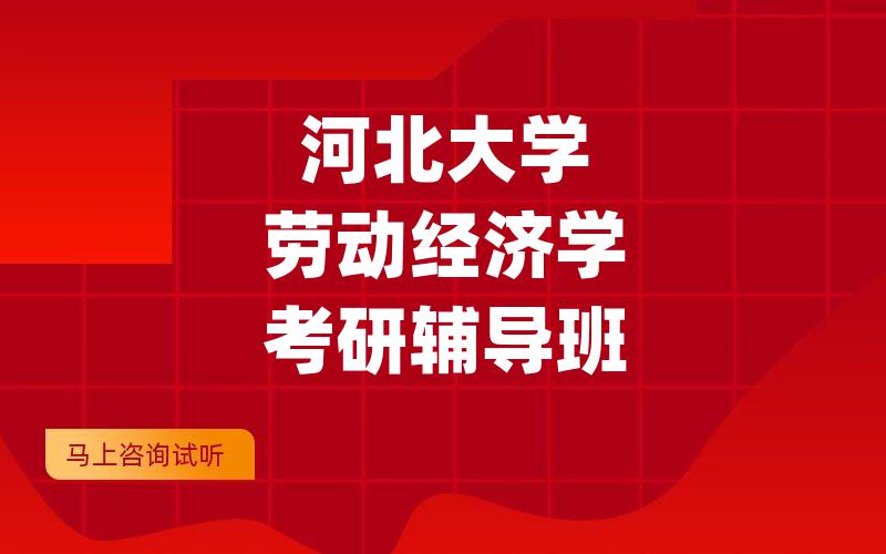 河北大学劳动经济学考研辅导班