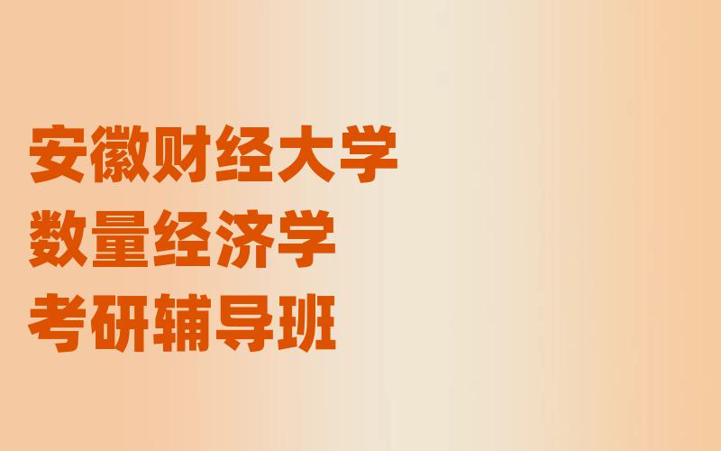 安徽财经大学数量经济学考研辅导班