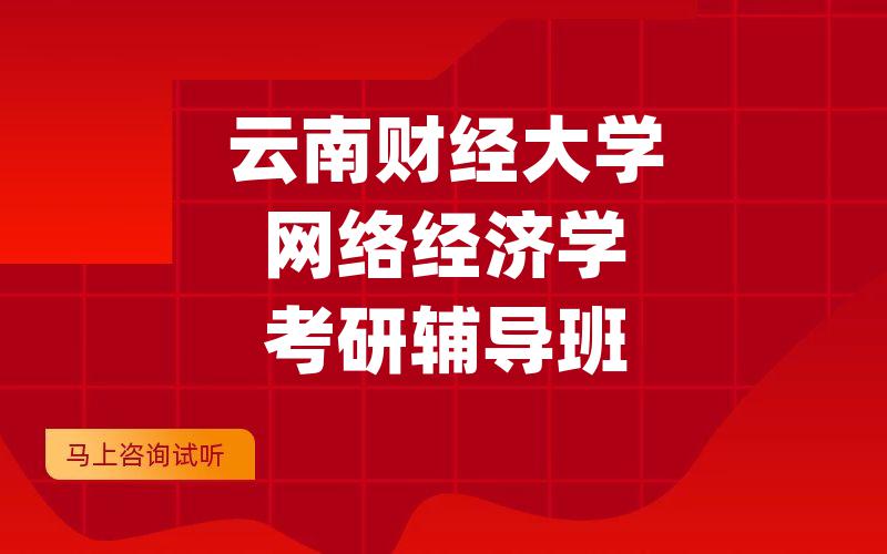 云南财经大学网络经济学考研辅导班