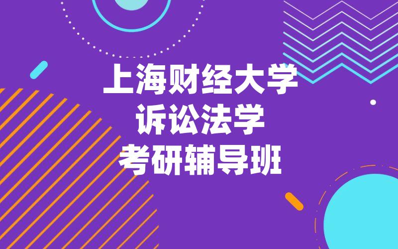 上海财经大学诉讼法学考研辅导班