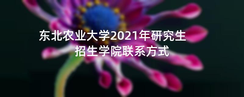 东北农业大学2021年研究生,招生学院联系方式