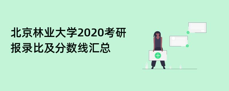 北京林业大学2020考研报录比及分数线汇总