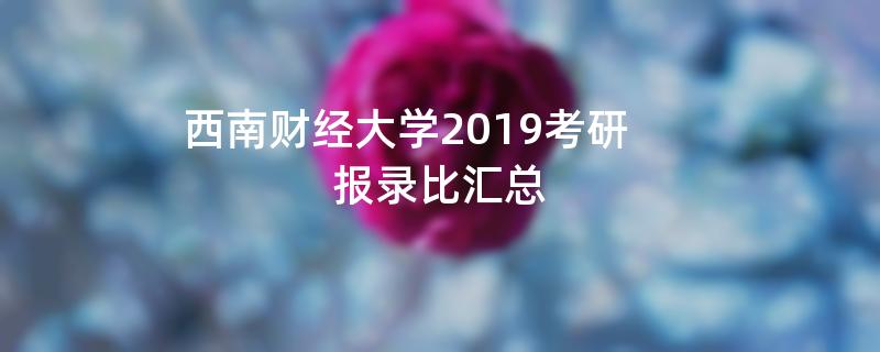 西南财经大学2019考研报录比汇总