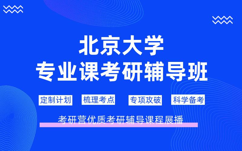 北京大学专业课考研辅导班