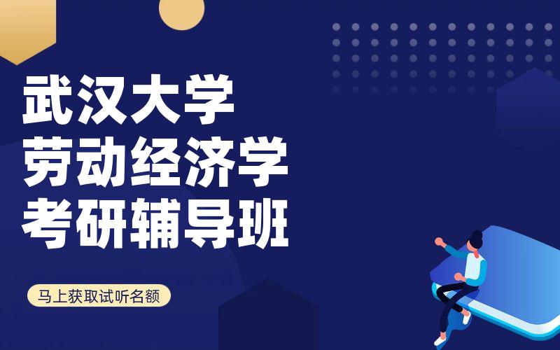 武汉大学劳动经济学考研辅导班