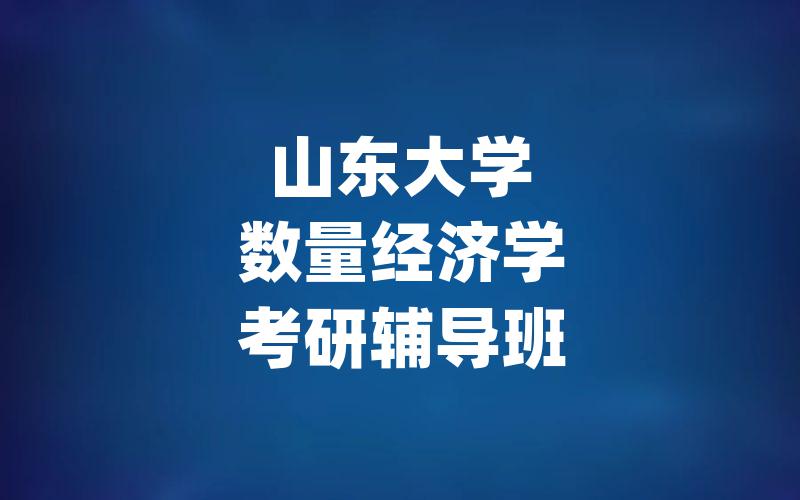 山东大学数量经济学考研辅导班