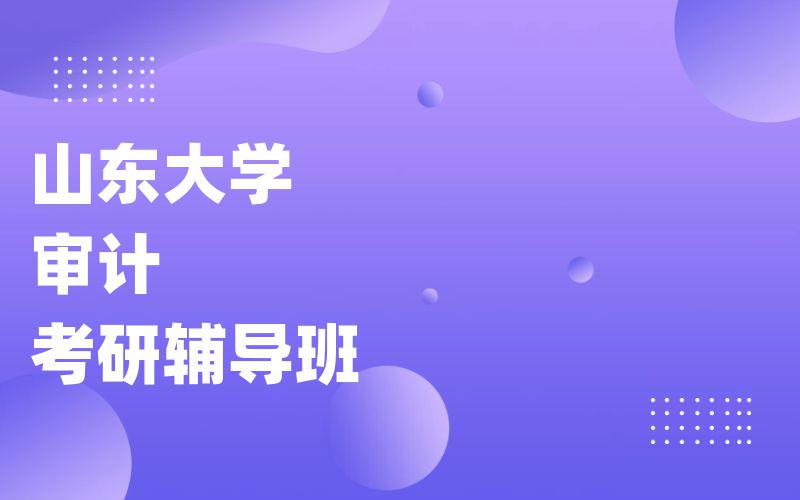 山东大学审计考研辅导班