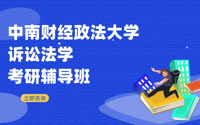 中南财经政法大学诉讼法学考研辅导班