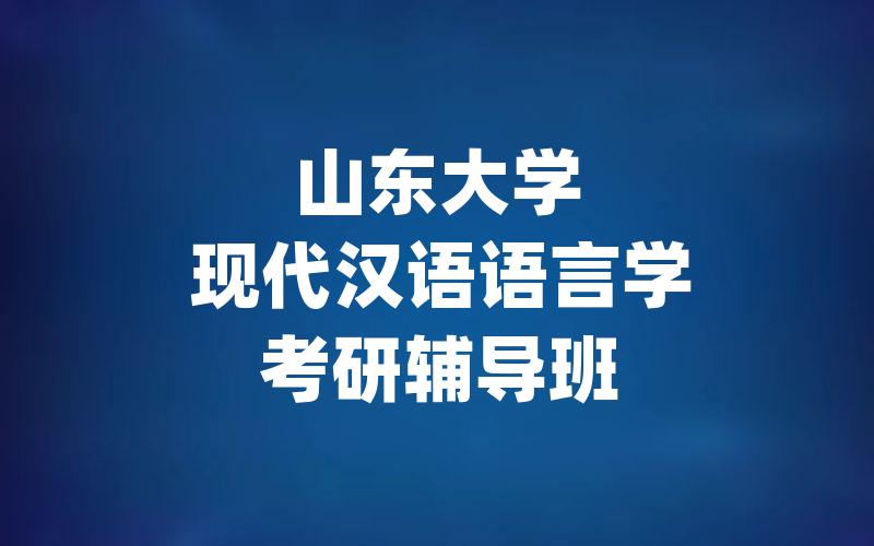 山东大学现代汉语语言学考研辅导班