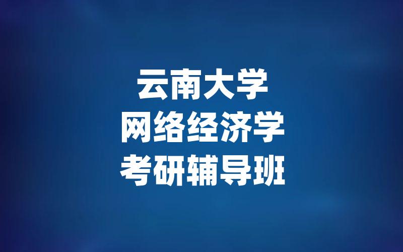 云南大学网络经济学考研辅导班