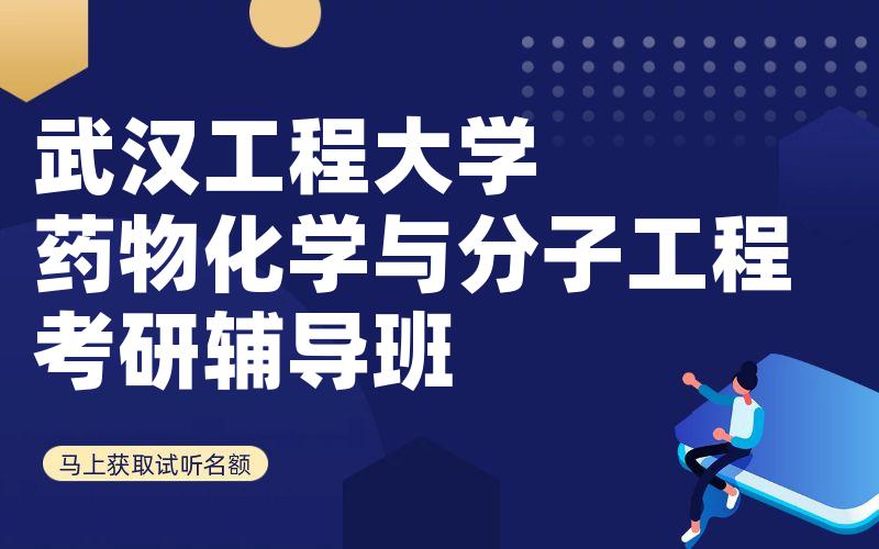 武汉工程大学药物化学与分子工程考研辅导班